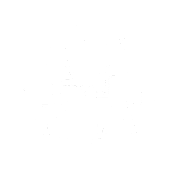 Portimao - transport aut z Holandii i Belgii